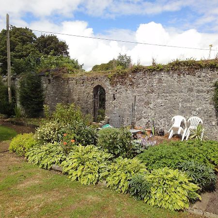 Glendine House Kilkenny Bed and Breakfast Exteriör bild