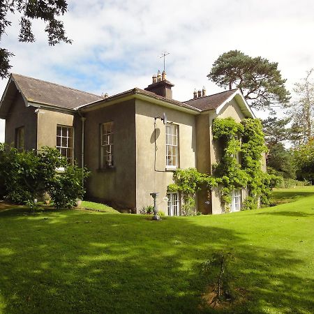 Glendine House Kilkenny Bed and Breakfast Exteriör bild