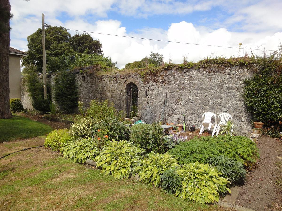 Glendine House Kilkenny Bed and Breakfast Exteriör bild